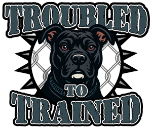 Troubled to Train3 Homepage